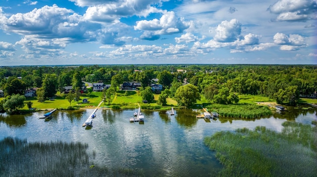 aerial view featuring a water view and a view of trees