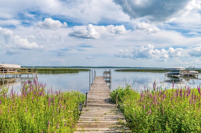 dock area with a water view