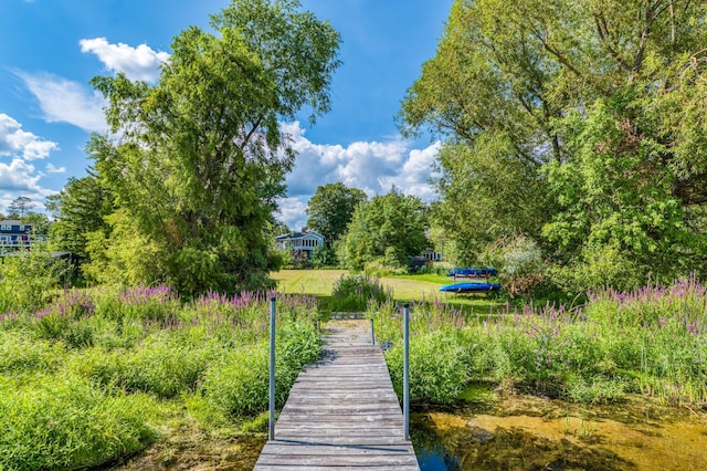 view of property's community featuring a dock