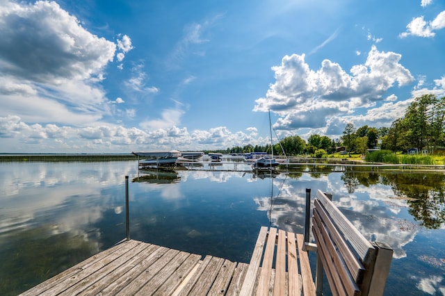 dock area with a water view