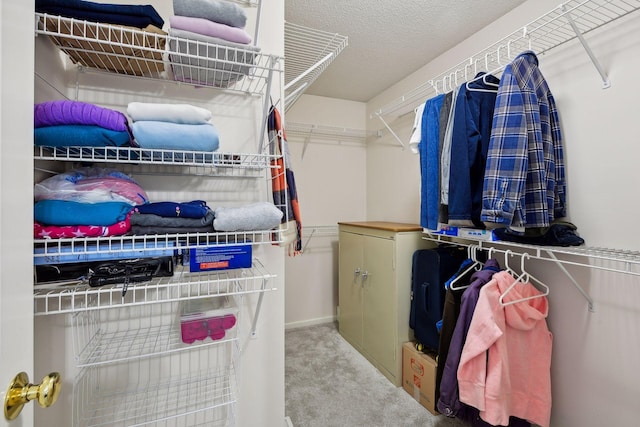 walk in closet with carpet