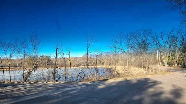 13197 132nd St W, Apple Valley, MN 55124 - water view