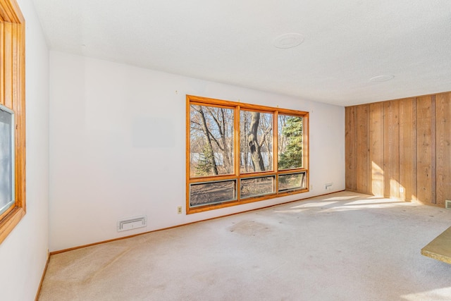 13197 132nd St W, Apple Valley, MN 55124 - carpeted spare room featuring wood walls and baseboards