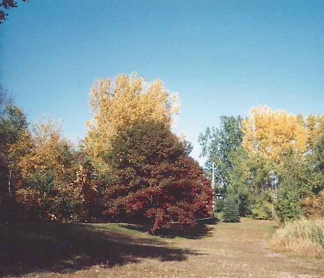 13197 132nd St W, Apple Valley, MN 55124 - view of undeveloped land