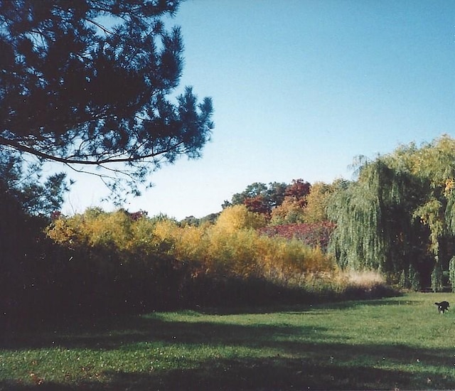 13197 132nd St W, Apple Valley, MN 55124 - view of nature