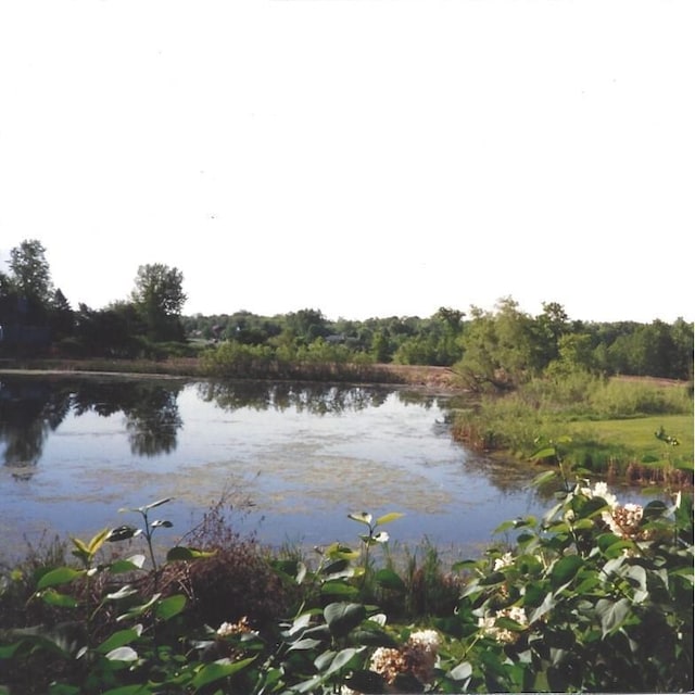 13197 132nd St W, Apple Valley, MN 55124 - water view