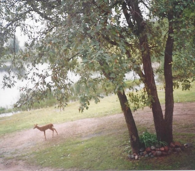 13197 132nd St W, Apple Valley, MN 55124 - view of yard