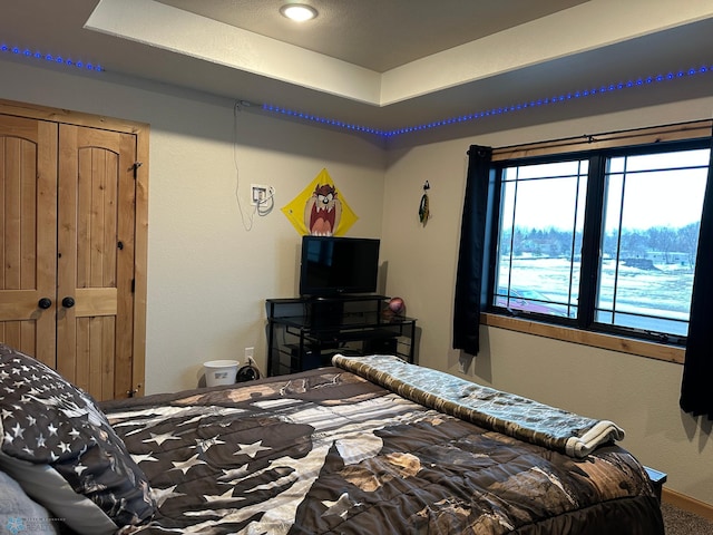 bedroom with a raised ceiling