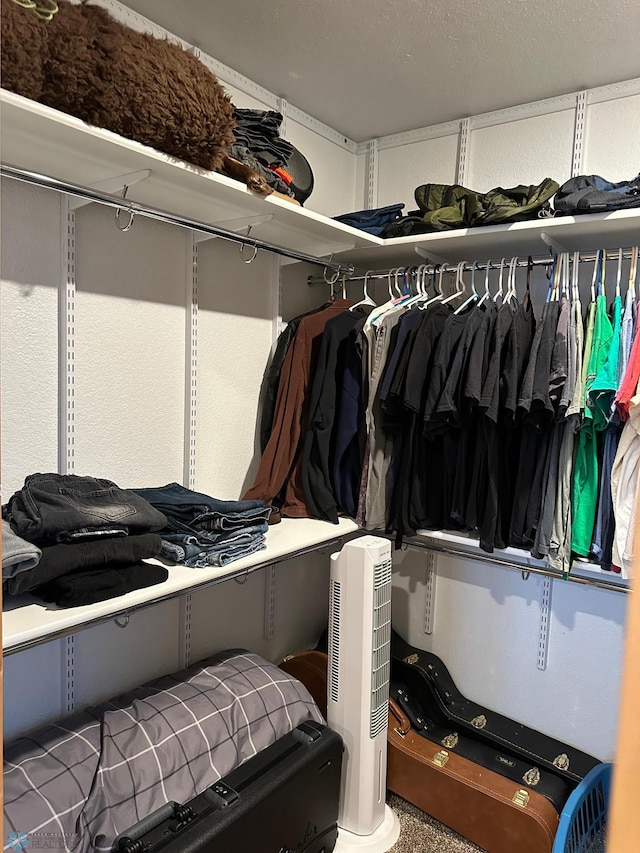 view of spacious closet