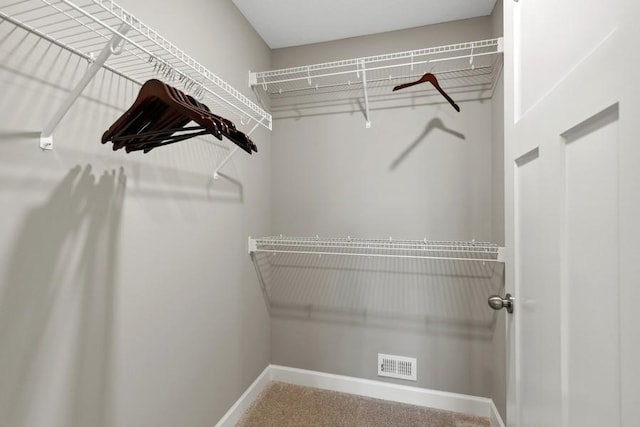 walk in closet featuring visible vents and carpet floors