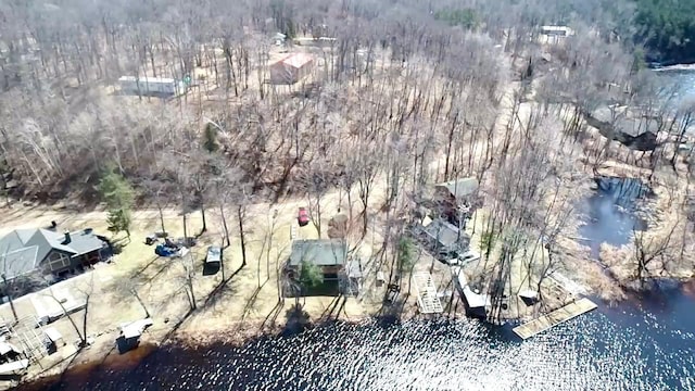 birds eye view of property with a water view and a forest view