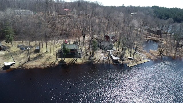 drone / aerial view with a water view and a forest view