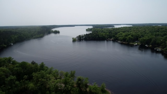 51879 186th Pl, Mcgregor, MN 55760 - water view featuring a heavily wooded area