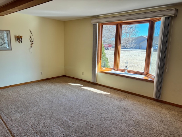 spare room with carpet, a wealth of natural light, and baseboards