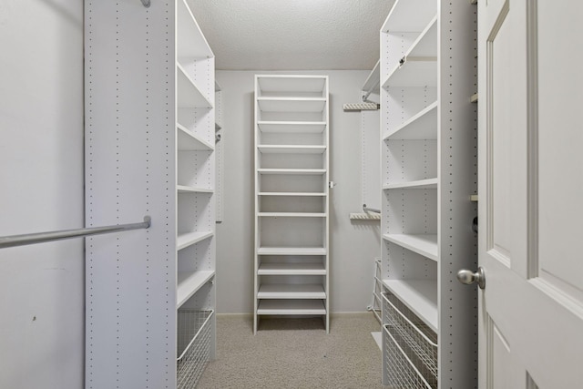 spacious closet with carpet floors