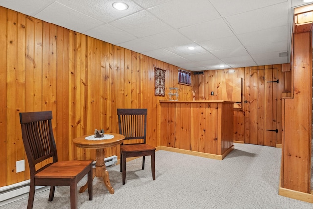 living area with baseboards, carpet flooring, and wooden walls