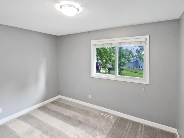 1132 Lincoln Ct, Saint Paul Park, MN 55071 - photo 12