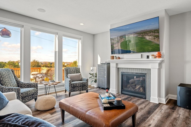 living room with a glass covered fireplace, baseboards, and wood finished floors