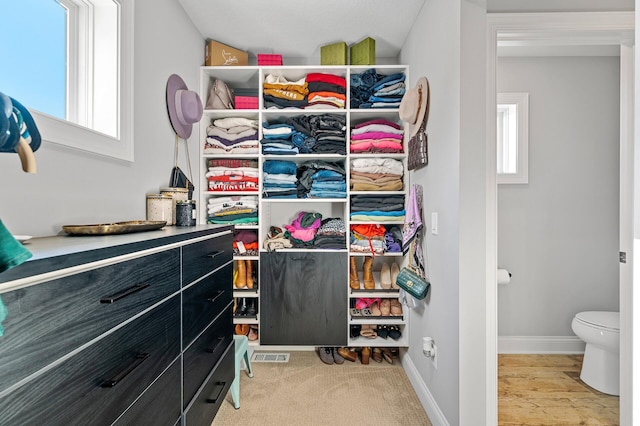 spacious closet with visible vents