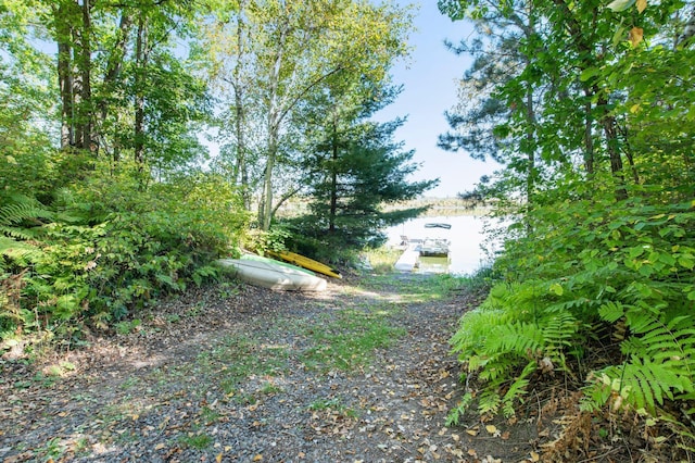 view of yard featuring a dock