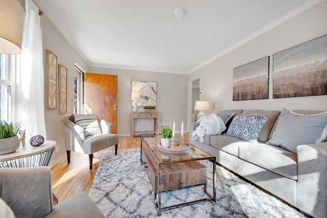 living room featuring a healthy amount of sunlight, crown molding, baseboards, and wood finished floors