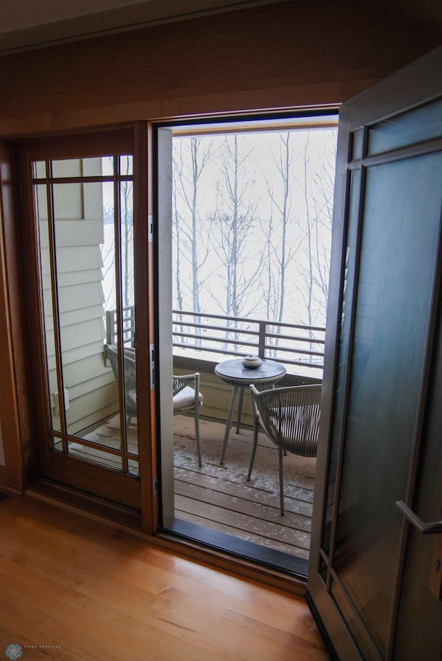 entryway featuring wood finished floors