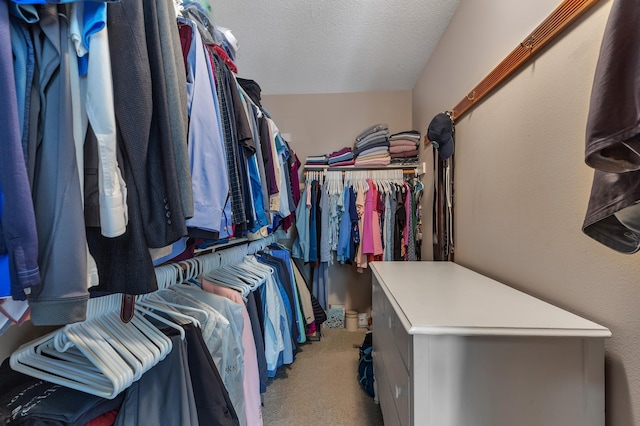 617 17th St N, Sartell, MN 56377 - spacious closet featuring carpet