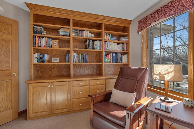 617 17th St N, Sartell, MN 56377 - living area featuring light carpet