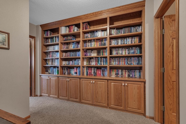 617 17th St N, Sartell, MN 56377 - detailed view of carpet and a textured ceiling