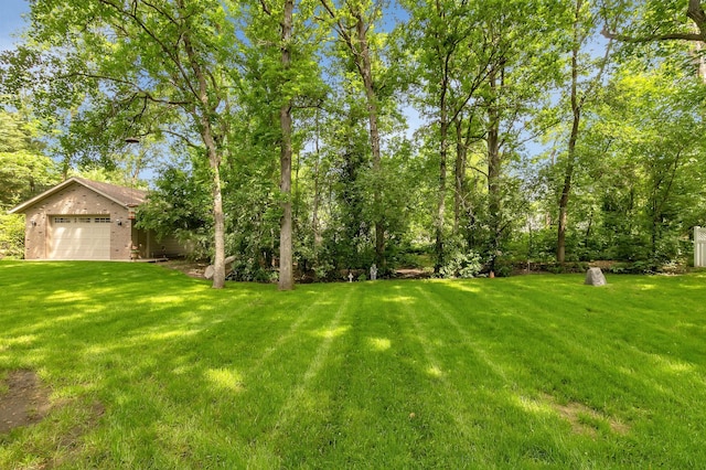 617 17th St N, Sartell, MN 56377 - view of green lawn