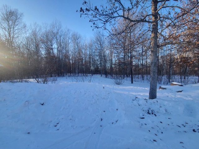 view of snowy yard