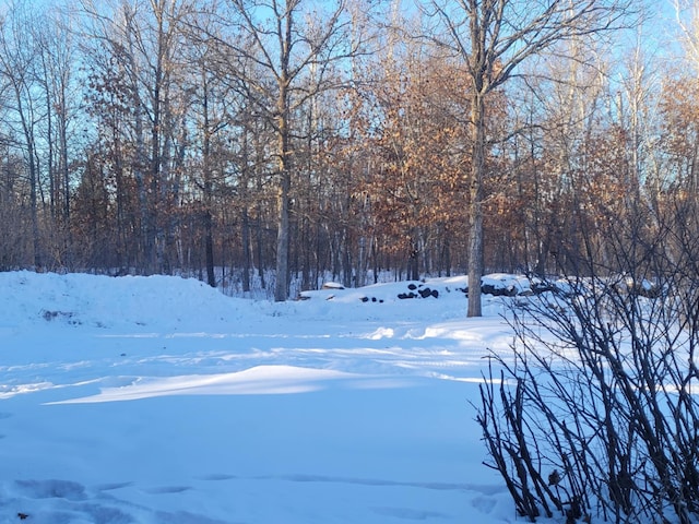 view of yard layered in snow