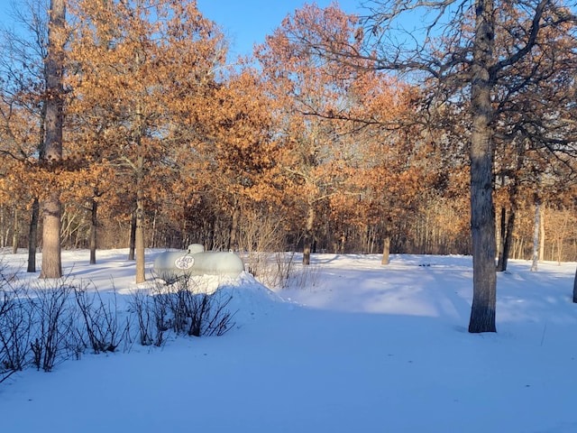 view of yard covered in snow