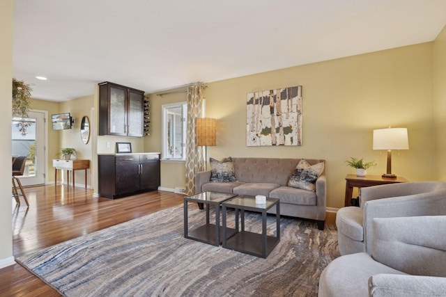 living room featuring a healthy amount of sunlight, baseboards, and wood finished floors