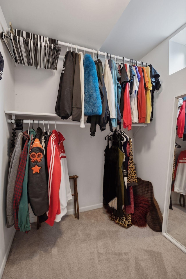 walk in closet with carpet flooring