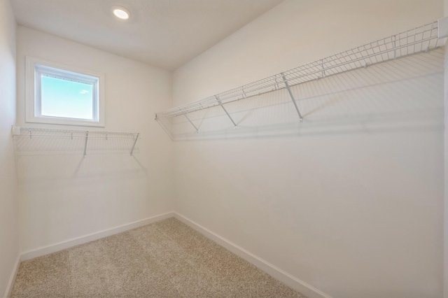 walk in closet featuring carpet flooring