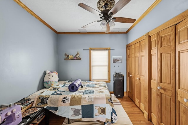 bedroom with ceiling fan, ornamental molding, light wood-type flooring, and two closets