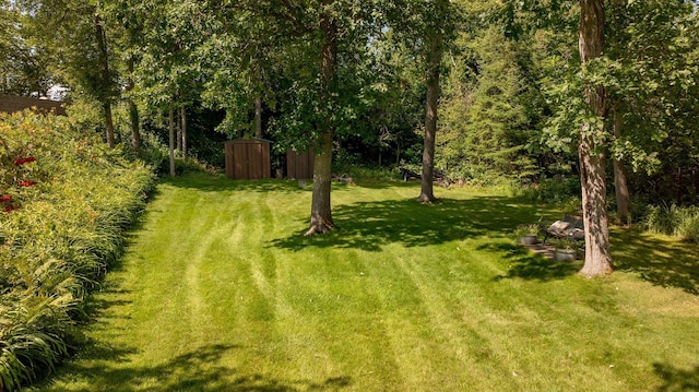 view of yard featuring a storage shed and an outdoor structure