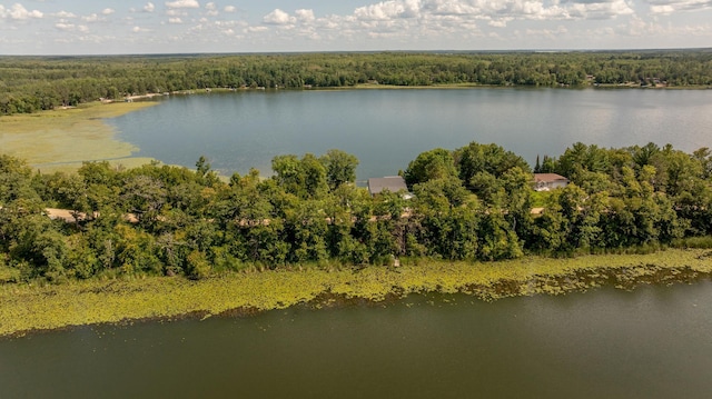 drone / aerial view with a water view and a wooded view