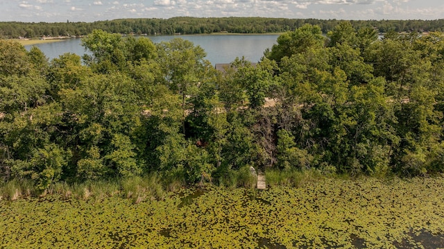 view of water feature with a view of trees