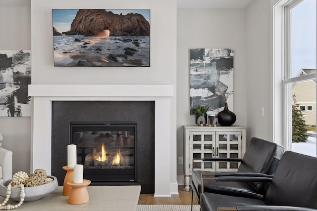 details featuring wood finished floors and a glass covered fireplace