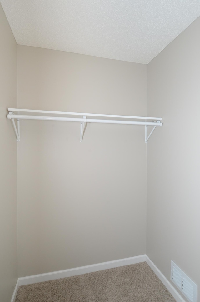 spacious closet featuring carpet flooring and visible vents