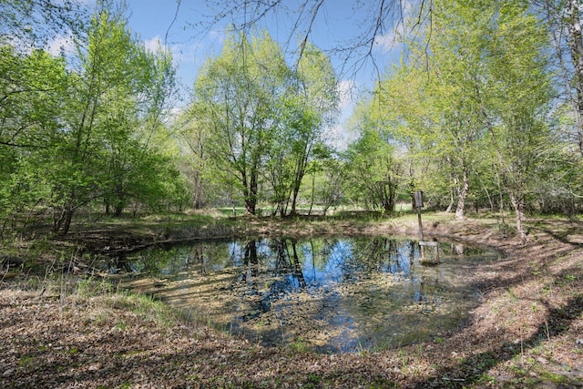 3415 197th Ave NW, Oak Grove, MN 55303 - water view