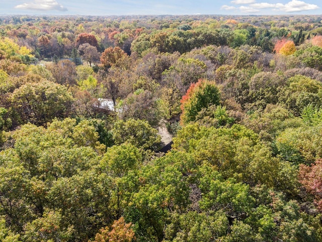 3415 197th Ave NW, Oak Grove, MN 55303 - aerial view of a forest