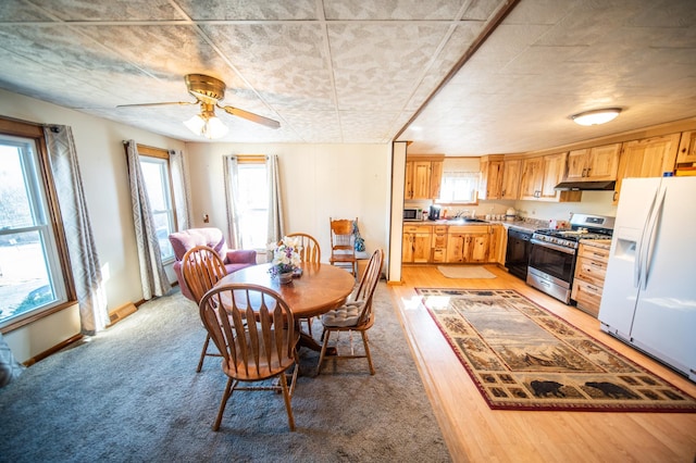 dining room with light colored carpet, a ceiling fan, and plenty of natural light