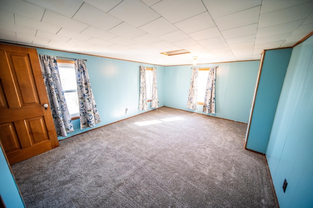 unfurnished room featuring a healthy amount of sunlight and carpet floors