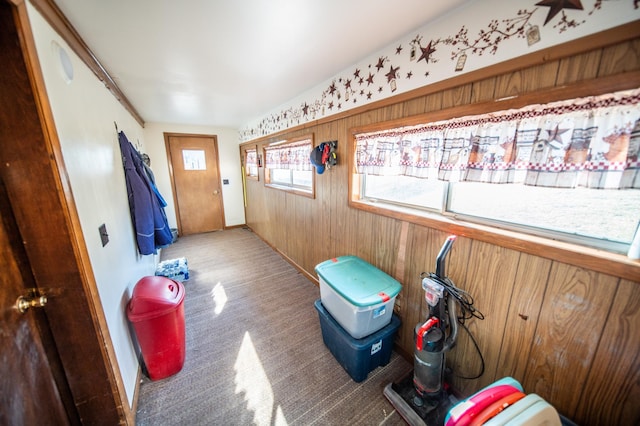 mudroom with wooden walls and carpet floors