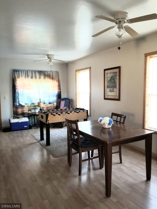 734 180th Ave, Apple River Twp, WI 54810 - dining area with ceiling fan and wood finished floors
