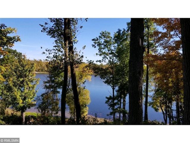 734 180th Ave, Apple River Twp, WI 54810 - water view