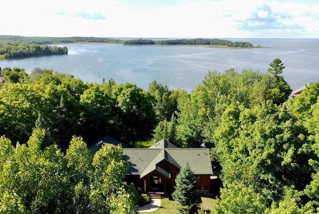 bird's eye view featuring a water view